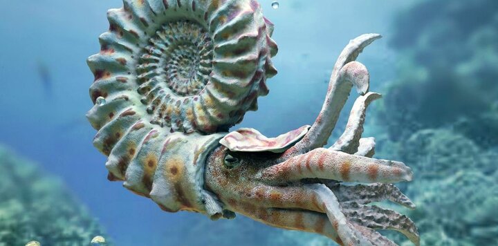 lazy_smart_crop_720x356