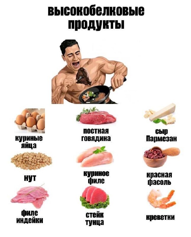 Строительный материал для нашего организма