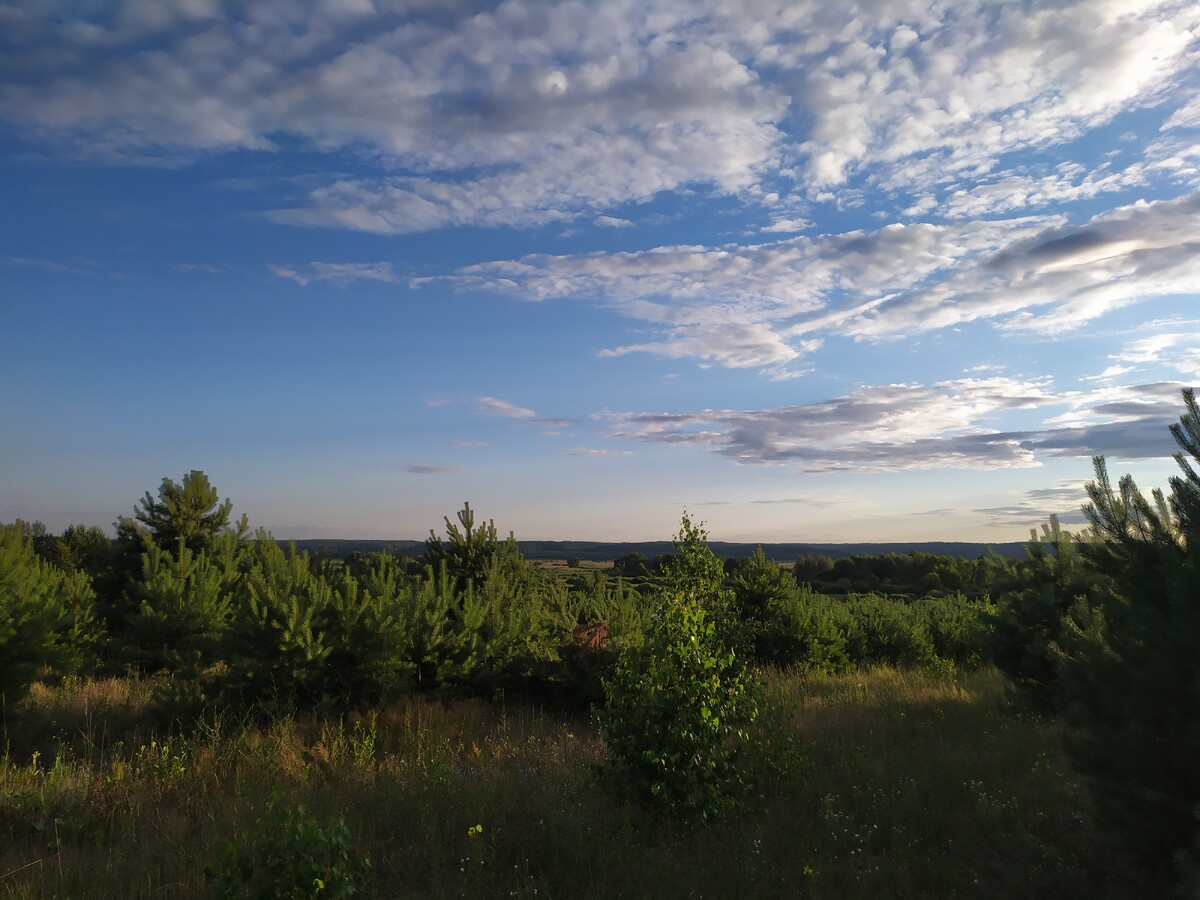 Моя жизнь в курской деревне дзен