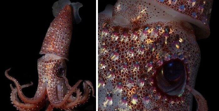 lazy_smart_crop_720x356