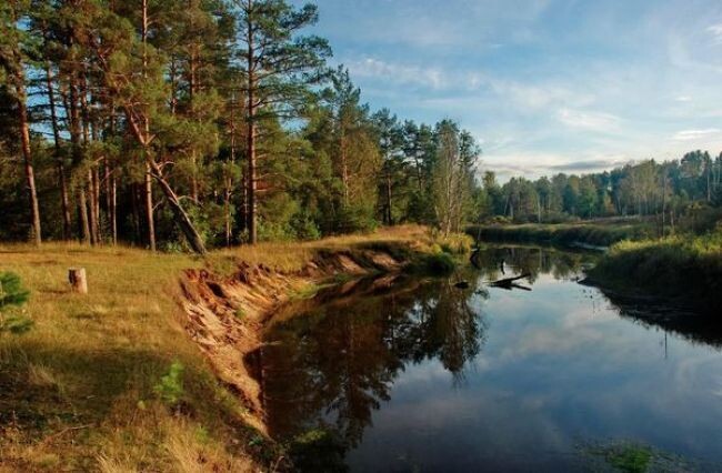 Паломничество в Гусь-Хрустальный, храм Параскевы Пятницы - Азбука паломника