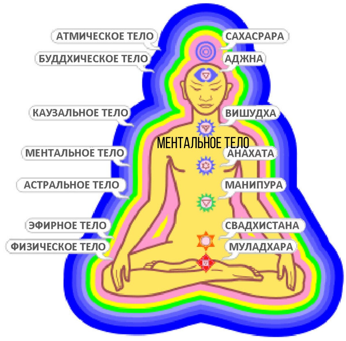 Что означает слово ментальный