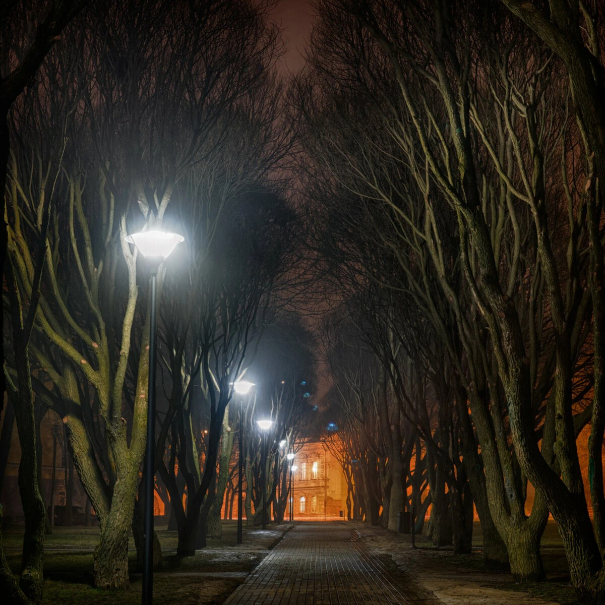 Темный холодный вечер. Ночной Питер парк. Фонарь на улице. Вечерняя улица. Улица в парке ночью.