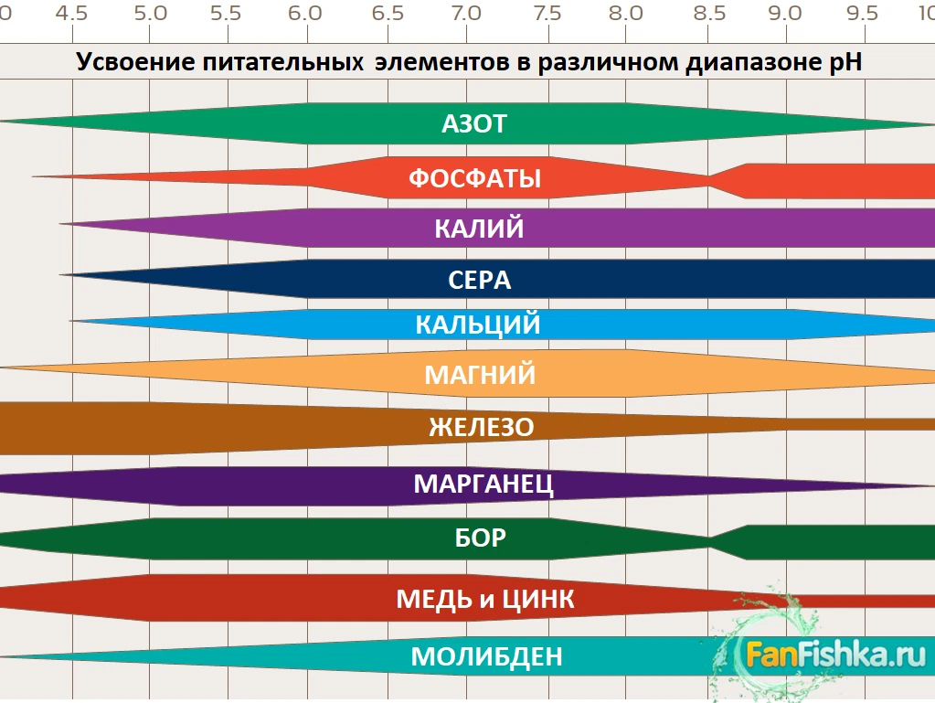 Кислотность железа. Таблица усвоения элементов PH. Таблица усвоения микроэлементов растениями. Усвоение элементов питания в зависимости от РН. Таблица усвояемости элементов PH.