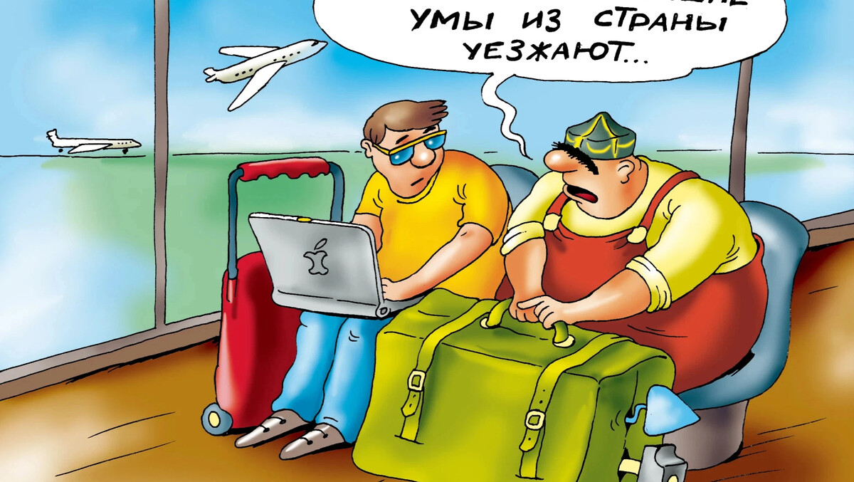 Миграция смешные картинки