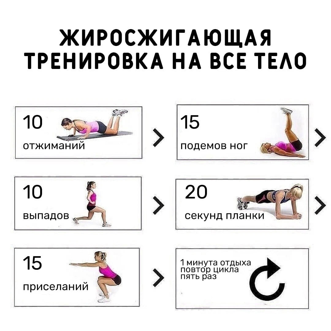 тренировки на диване для сжигания жира