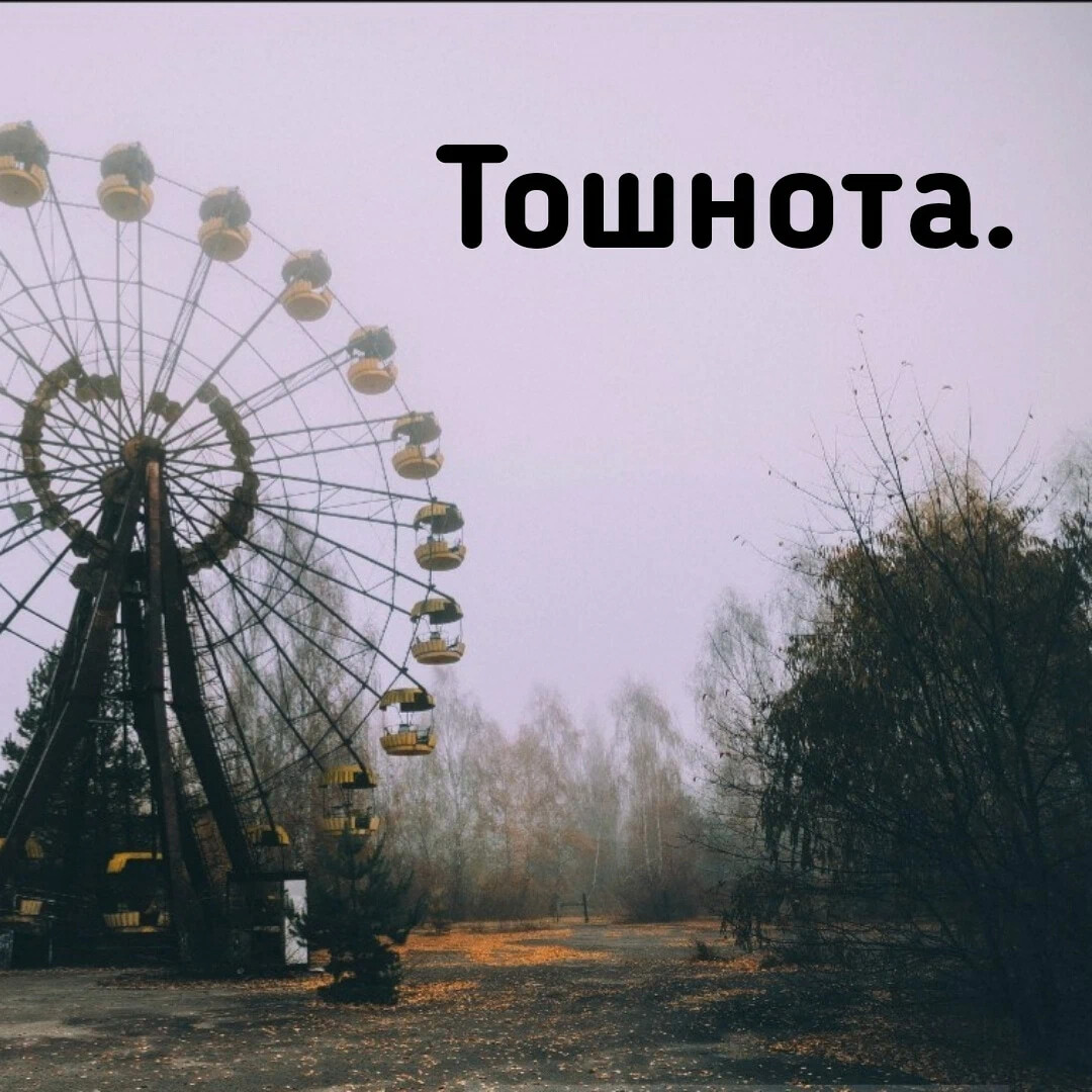 Колесо припять фото