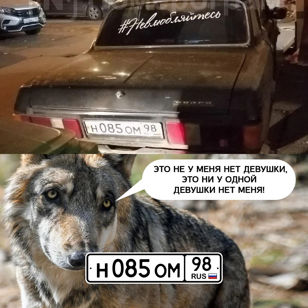 машина волк