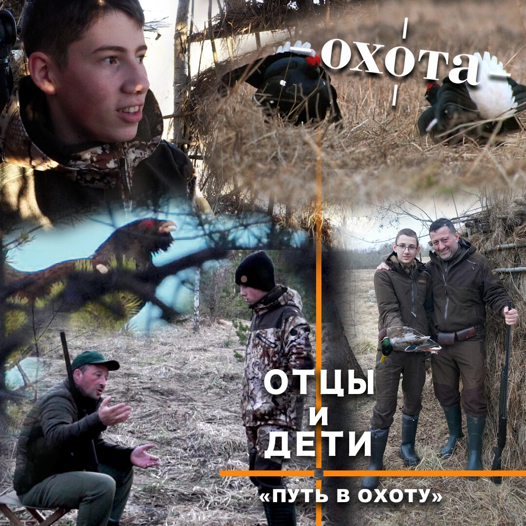 дзен охота. дзен охота. яндекс дзен охота. осенняя охота сроки воронежская область. дзен охота.