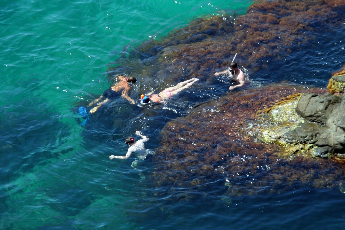 Black Sea Divers в Севастополе