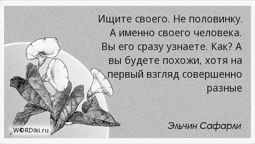 Как называется жизнь после жизни. Элберт Хаббард цитаты. Счастье словно взгляд из самолета. Вот так бывает в жизни. Счастье и несчастье рядом.