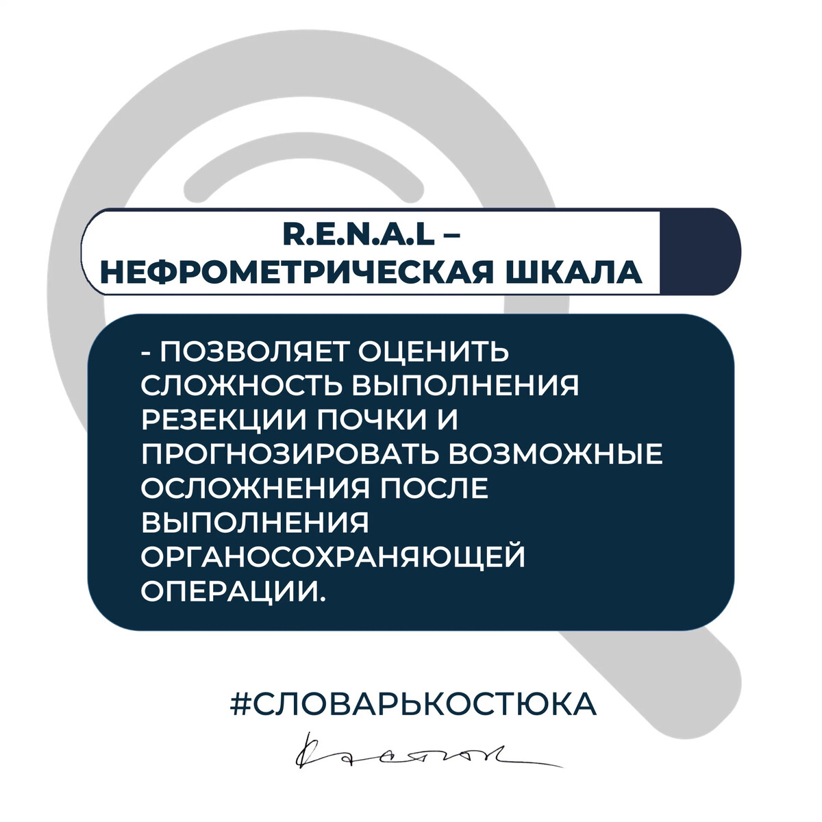 R.E.N.A.L. нефрометрическая шкала -нефрометрическая бальная система ,  которая… | Игорь Петрович Костюк | Дзен