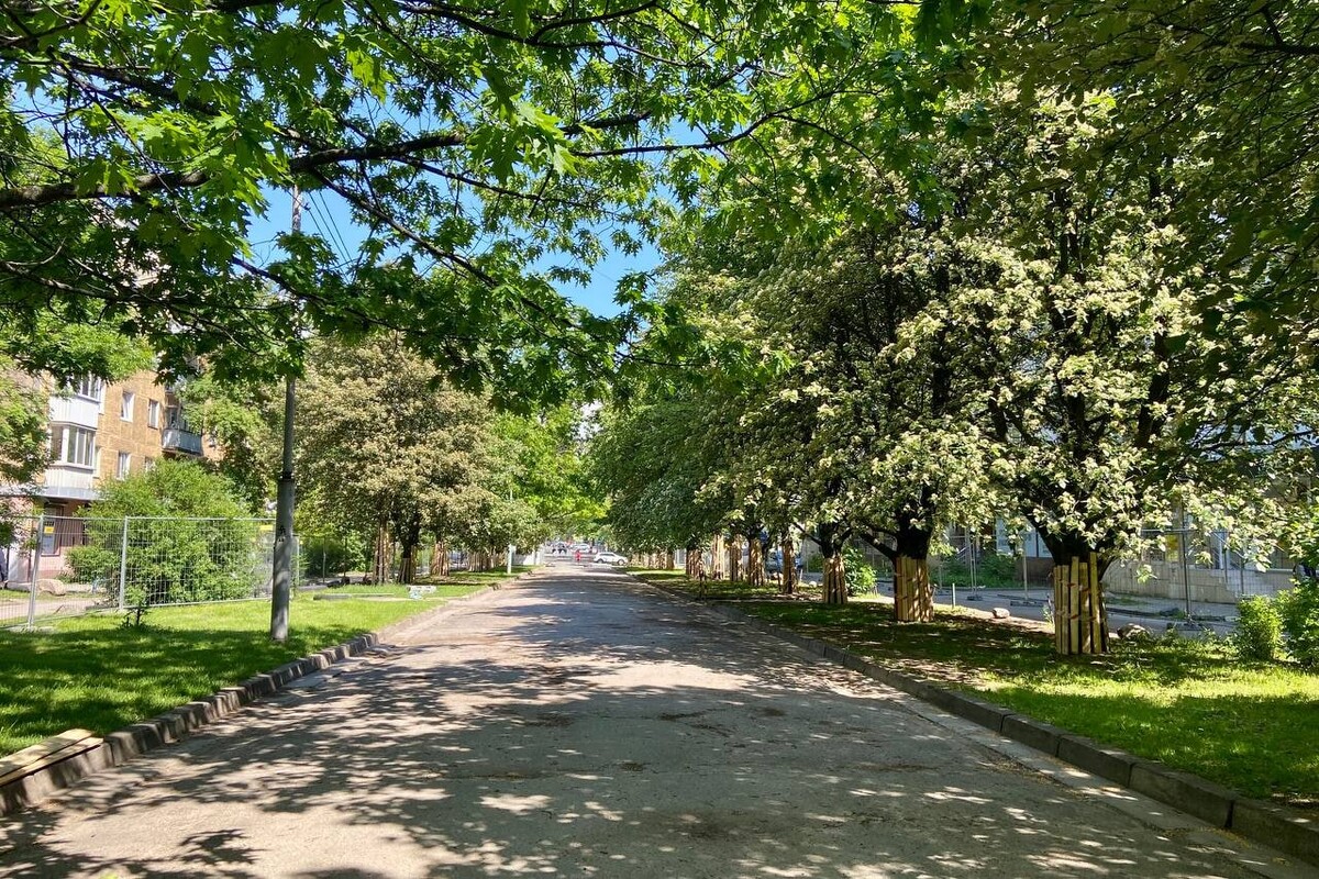 Фото улица Соммера Калининград. Зеленые улочки Калининграда.