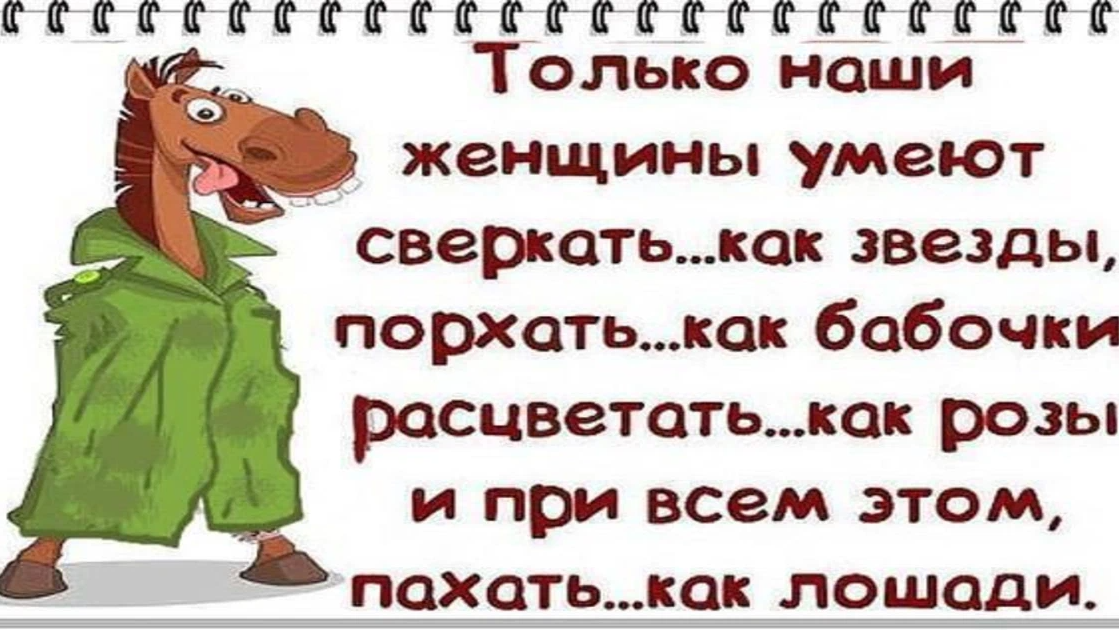 Бессмертный пони картинка с приколом