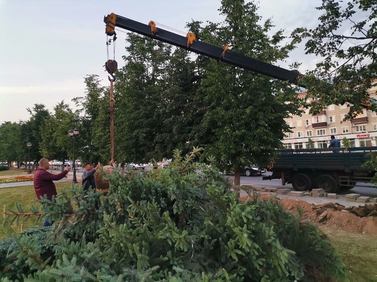 сергиев посад лайф новости сегодня последние