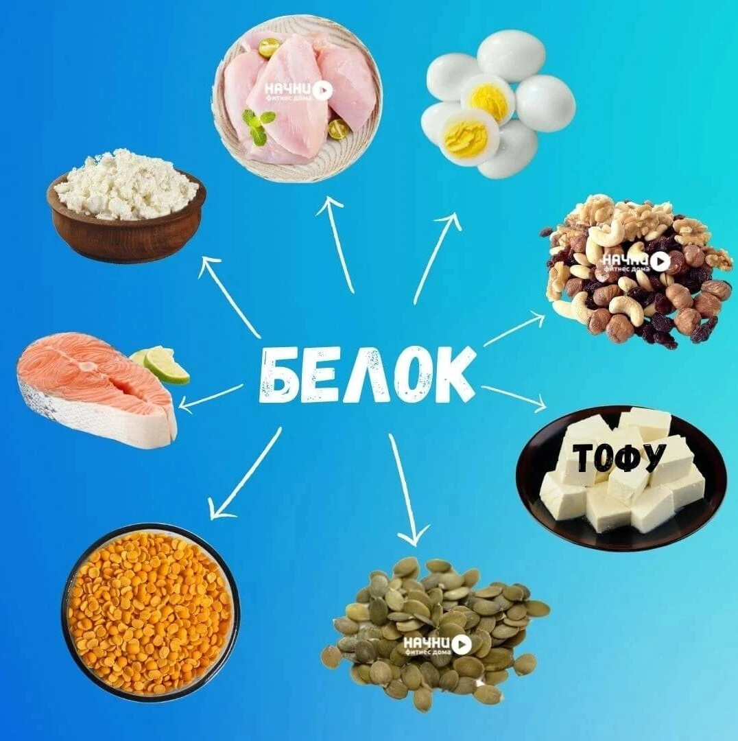 Белок источники белка