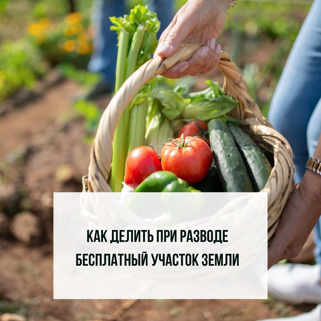 Дача приобретенная в период брака зарегистрирована впр