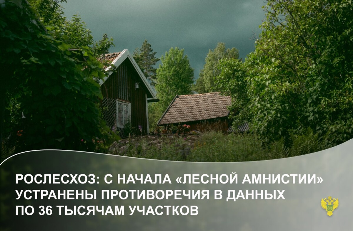 Закон о Лесной амнистии. Лесная амнистия презентация. Лесная амнистия Ленинградская область. Лесная амнистия фото. 280 лесная амнистия