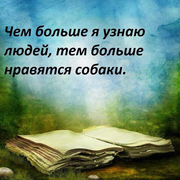 литературный род. аму мом цитаты и афоризмы. состояние мысли и литературы. состояние мысли и литературы. аму мом высказывания.