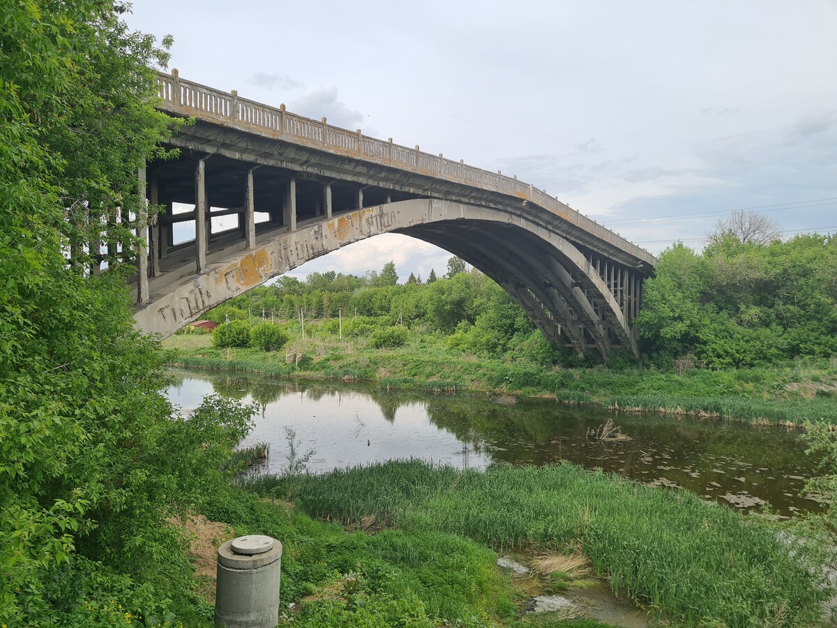 горбатый мост в рязани