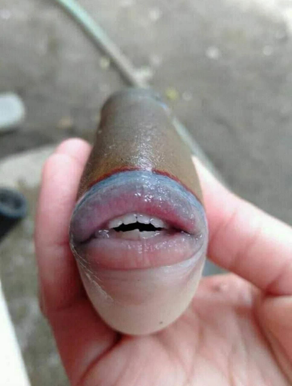 губы рыбкой фото