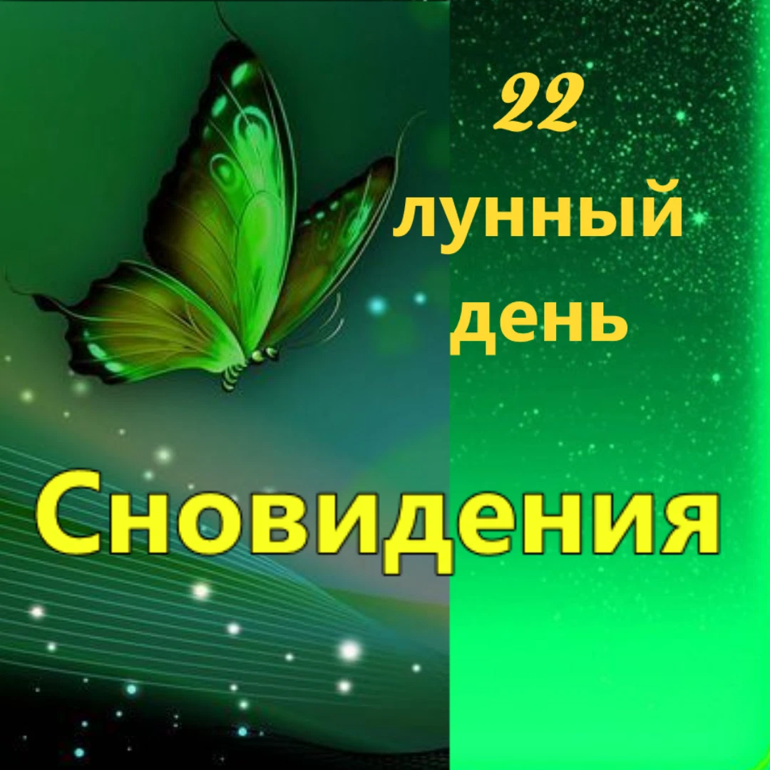 22 лунный день