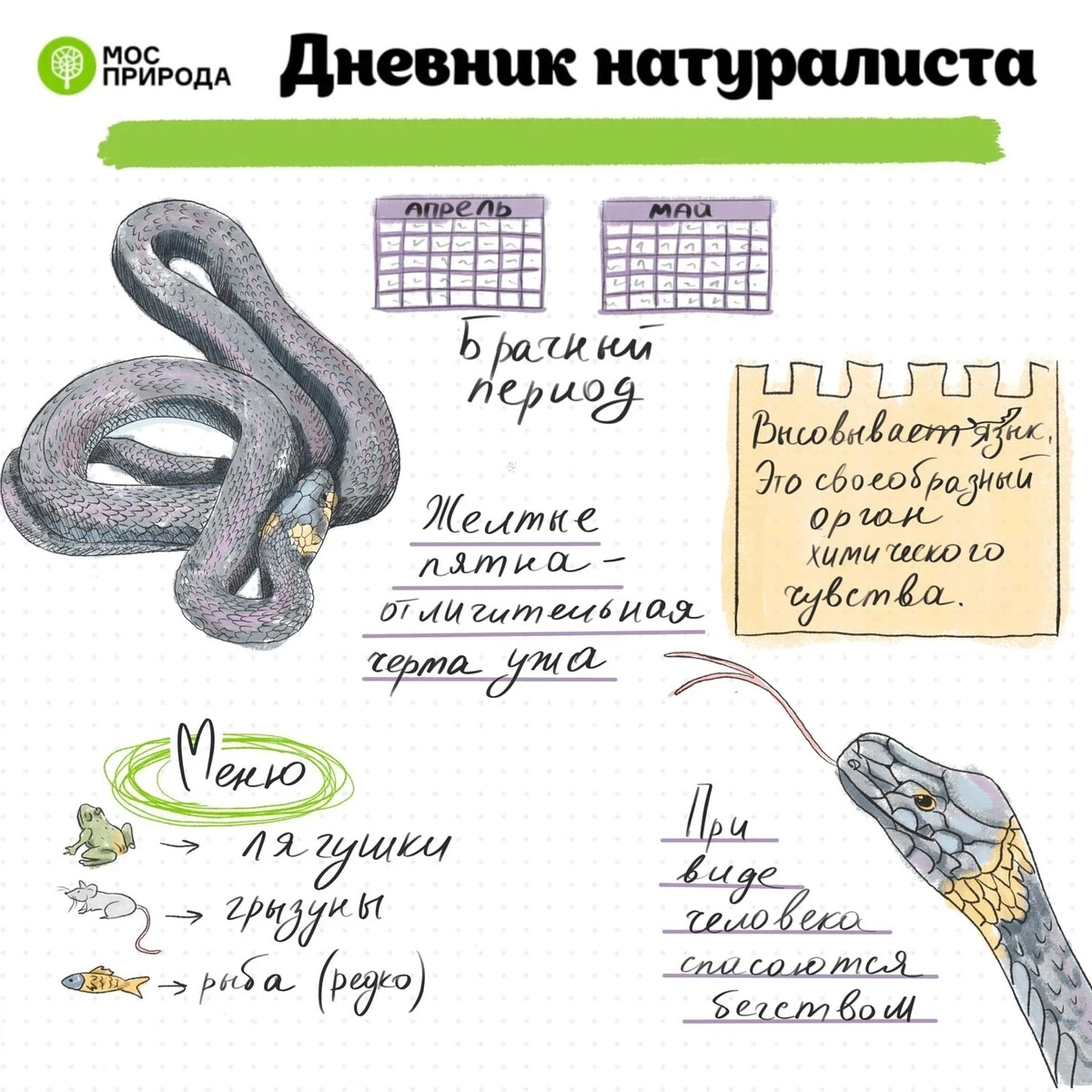 20 августа что можно