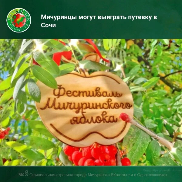 Фестиваль мичуринский расписание