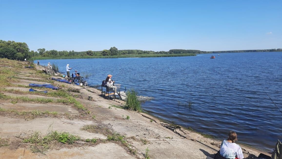 Шушпанское водохранилище тамбовской области фото