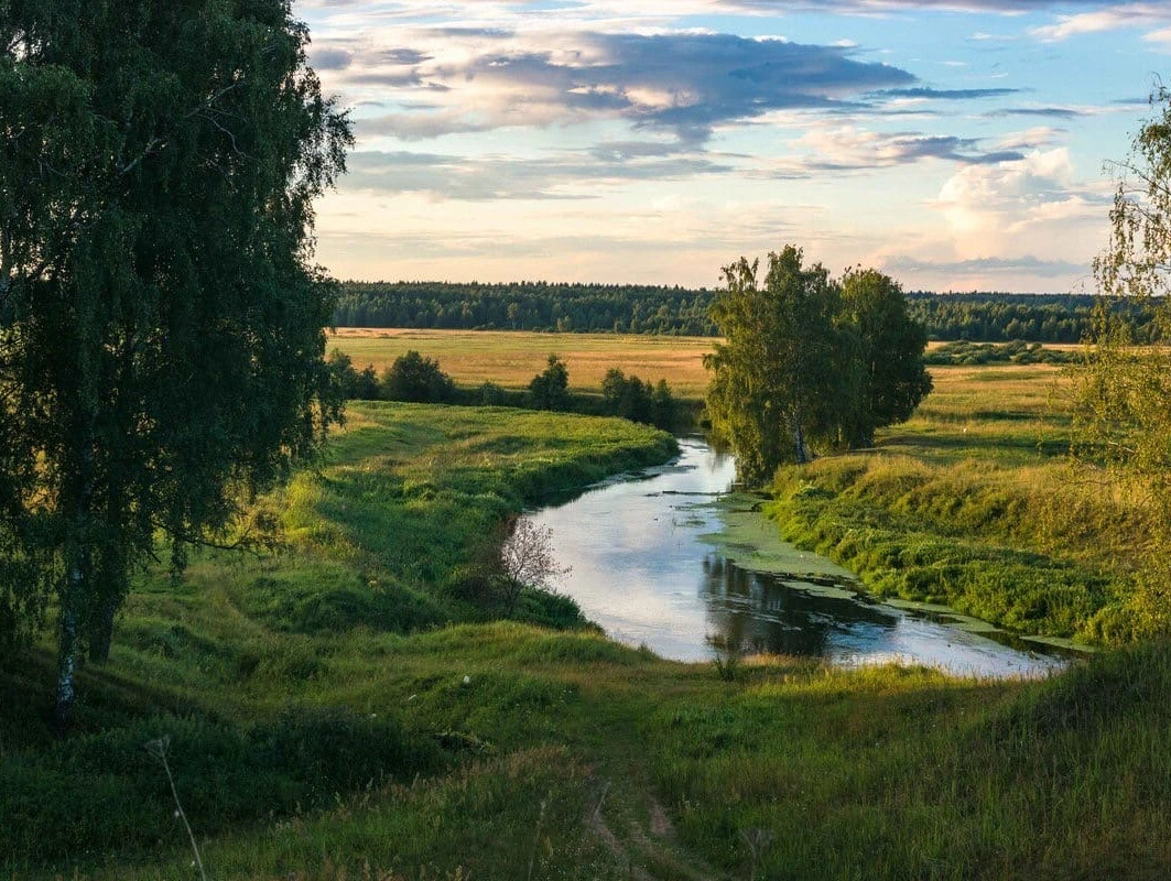 леса поля и реки