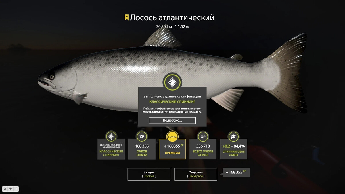 Ладожский лосось