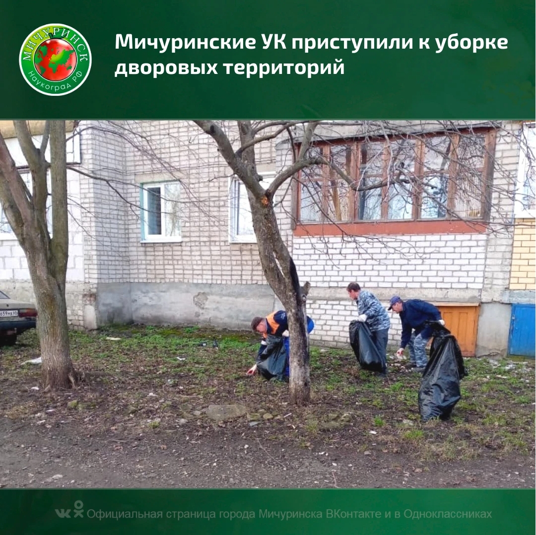 Фотосессия во дворе. Коряжма благоустройство весной. Фурманов улица тимирязева. Чистый город москва. Управляющая компания мичуринский.