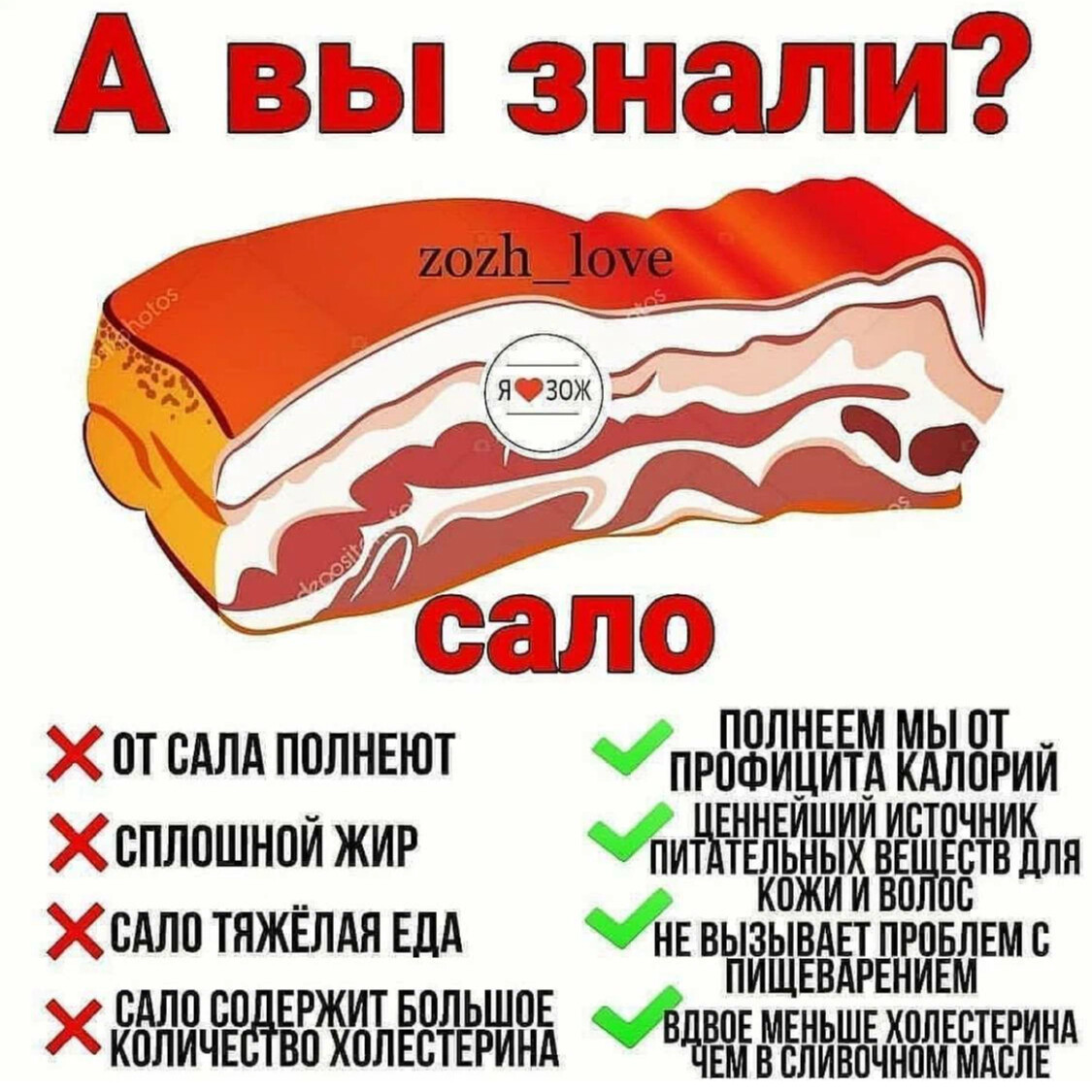 Польза сала