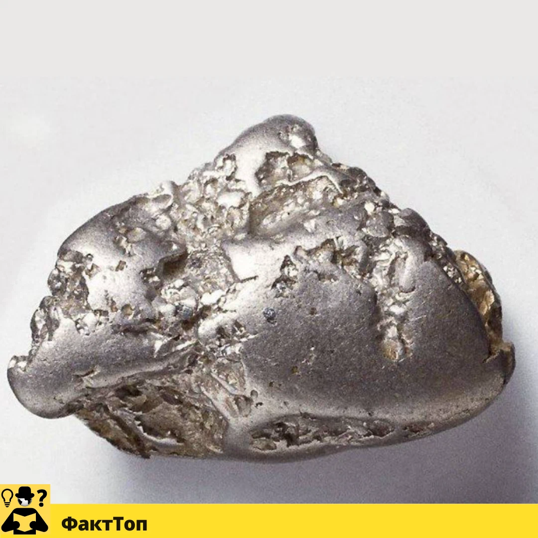 Золото это железо. Уральский гигант самородок платины. Самородок серебра. Серебро металл самородок. Самородок платины «челюсти» алмазный фонд.