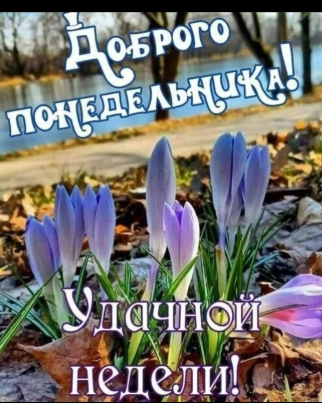 Доброе утро понедельника и удачной недели