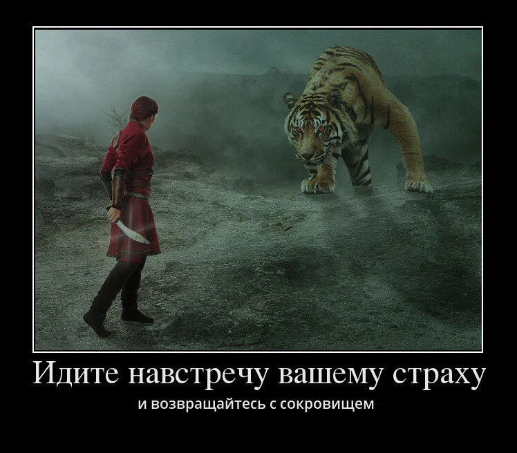 Иди навстречу своему страху книга. Иди навстречу своему страху. Навстречу страху картинка. Навстречу страху. Идти навстречу страху.
