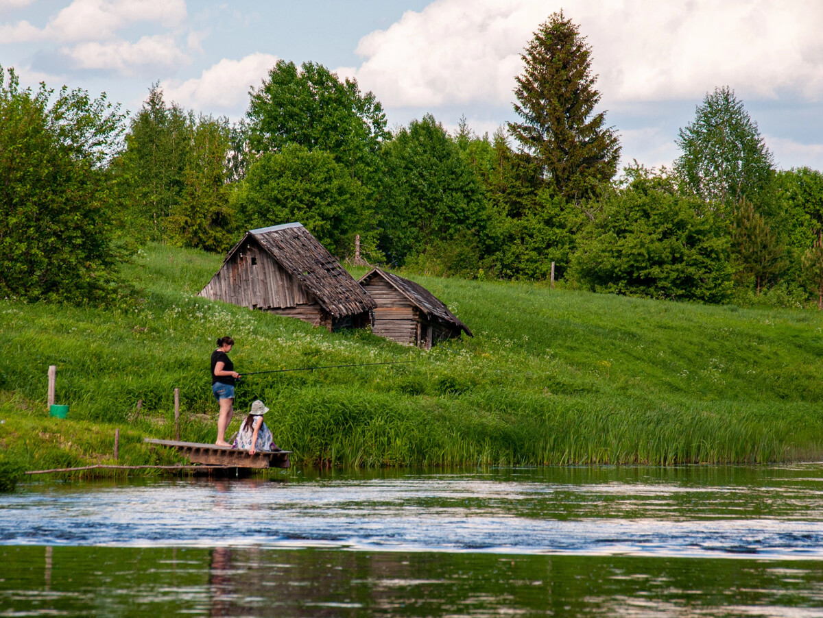 Деревня бычки дмитровского района. Деревня бычки михайловский район. Калужский заповедник угра. Деревня бычки ушачского района витебской области. Стойло для коровы.