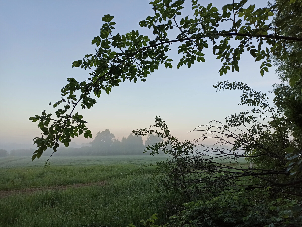утро 14 октября. доброе морозное осеннее утро. золотая осень храмы вологда. утро 14 октября. утро 14 октября.