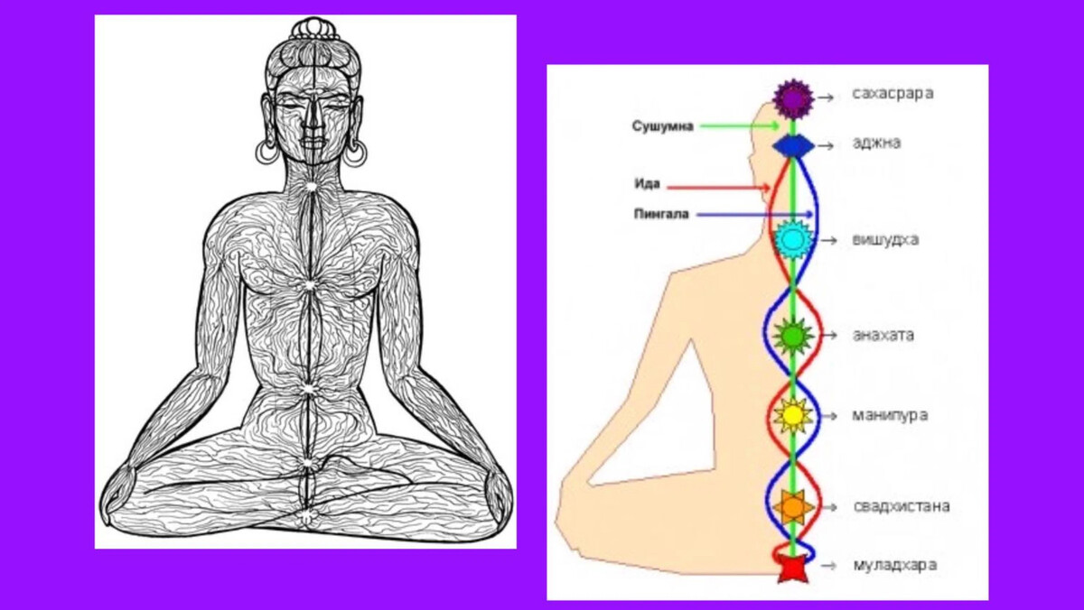 каналы нади ида пингала. ида и пингала нади. каналы нади ида пингала. каналы нади ида пингала. ида пингала сушумна нади.