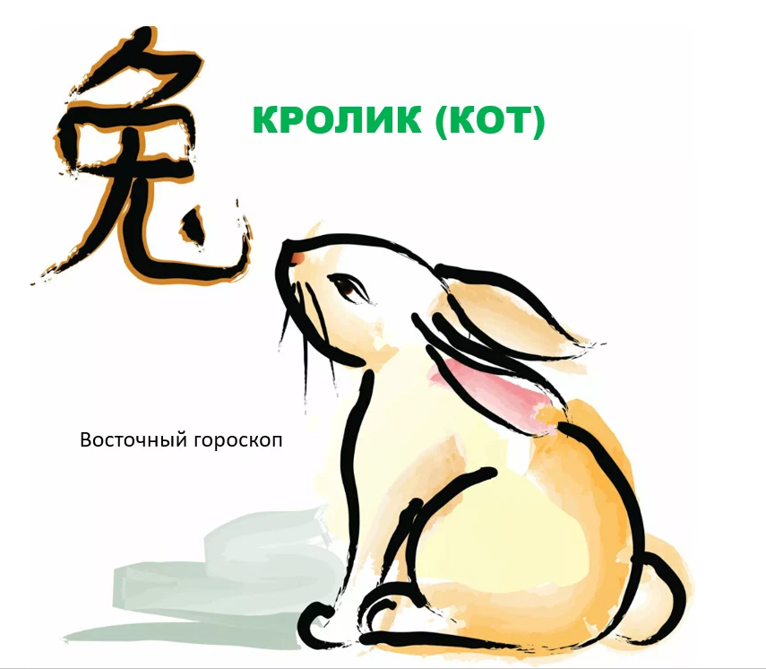 Год кролика знакам зодиака. Год кролика. Год кролика 2022. Кот кролик гороскоп. Год кота и кролика характеристика.