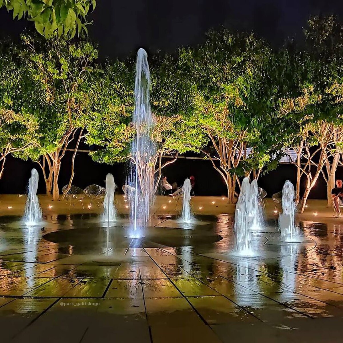 Краснодар ночью фото парк галицкого