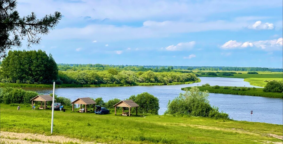 Оськино томская область. Оськино озеро Парабель. Берег озера. На берегу озера. Речка у Оськино.