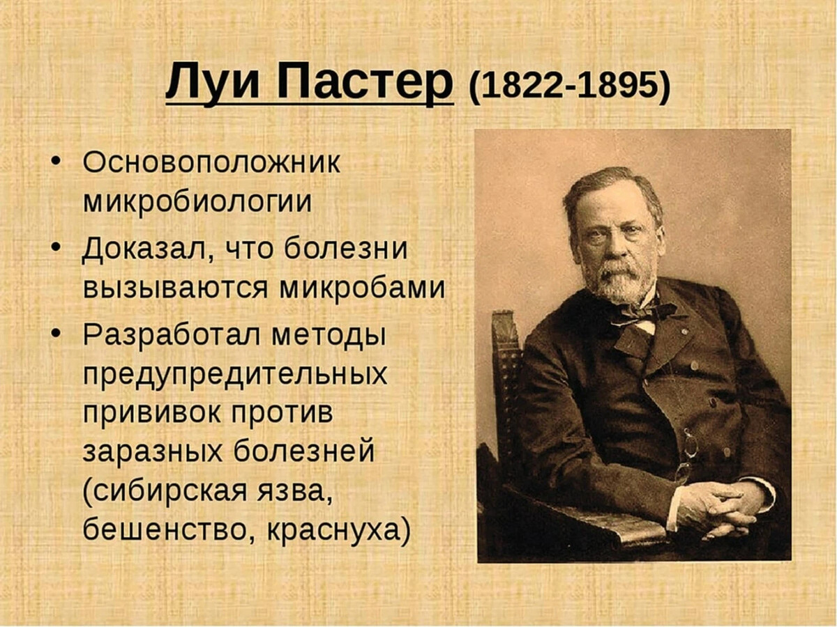 Ученые микробиологи. Луи Пастер (1822-1895). Луи Пастер микробиология. Луи Пастер основоположник научной микробиологии и иммунологии. Пастер основатель микробиологии.