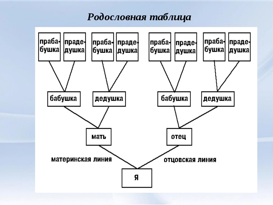 План рассказа о родственных связях между животными