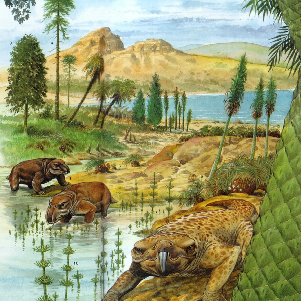 300 млн лет назад какая эра. Триасовый период мезозойской эры. Триасовый период мезозойской эры животные. Мезозойская Эра Триасовый период животный мир. Мезозойская Эра Триасовый животные.