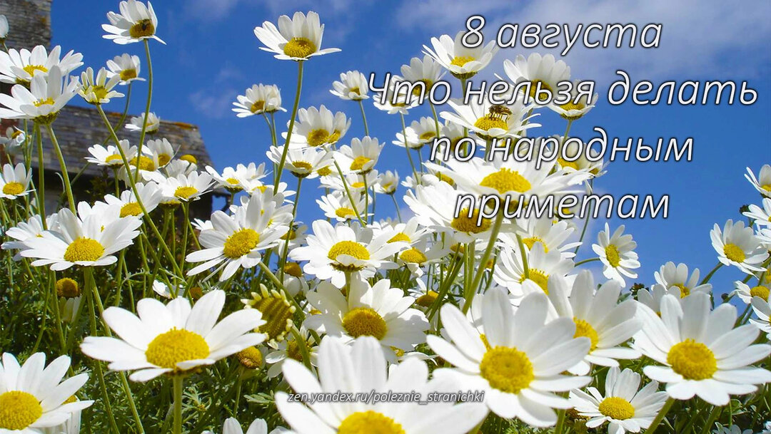 8 августа