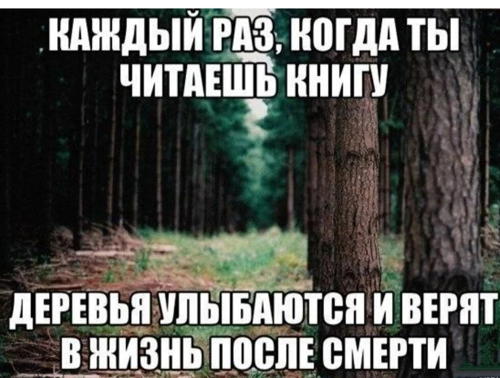 Tree прочитать. Книги и деревья улыбаются. Каждый раз когда я читаю деревья улыбаются. Верю в смерть после жизни любовь после. Читать книгу деревья могут молчать.