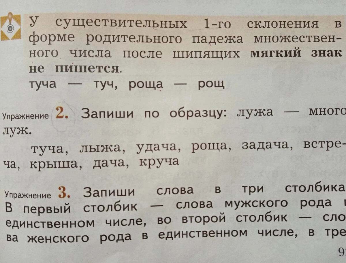 Падежи множественное число. Существительные 1 склонения с шипящими на конце. Слова с шипящими на конце 1 склонения. Слова 1 склонения множественного числа с шипящей на конце.