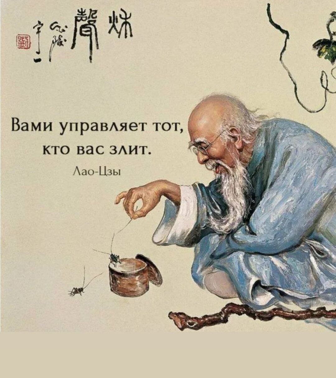 Мудрость есть корень. Цитаты китайских мудрецов. Мудрые китайские изречения. Мудрые китайские афоризмы. Мудрые китайские пословицы.