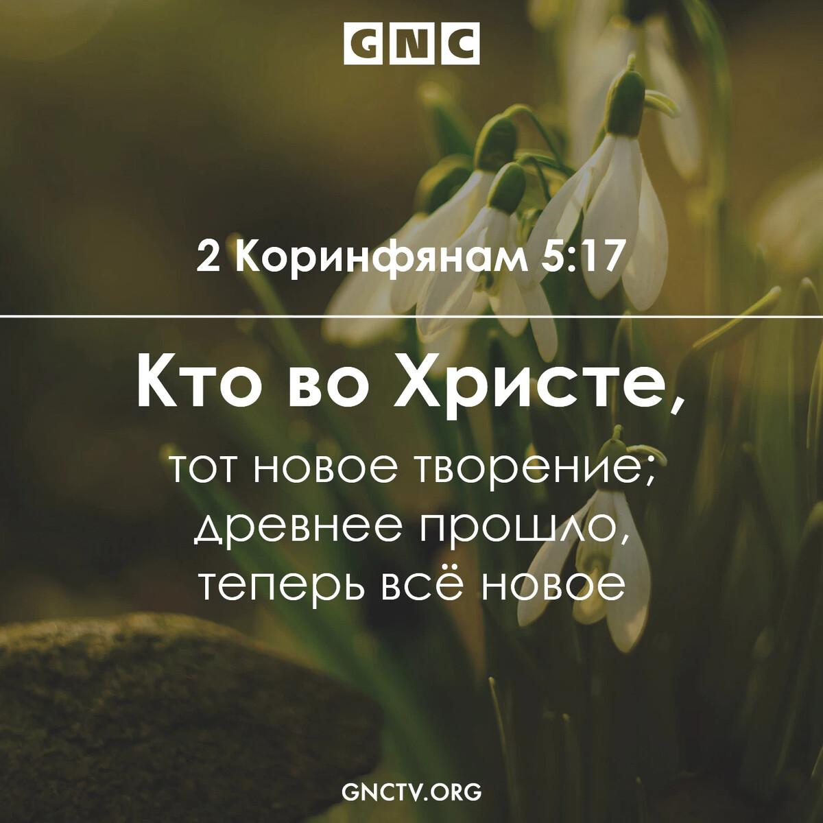 Кто во христе тот новая тварь. Я новое творение во христе. Кто во христе тот новая тварь древнее прошло теперь все новое. Кто во христе тот новая тварь. Кто я во христе.